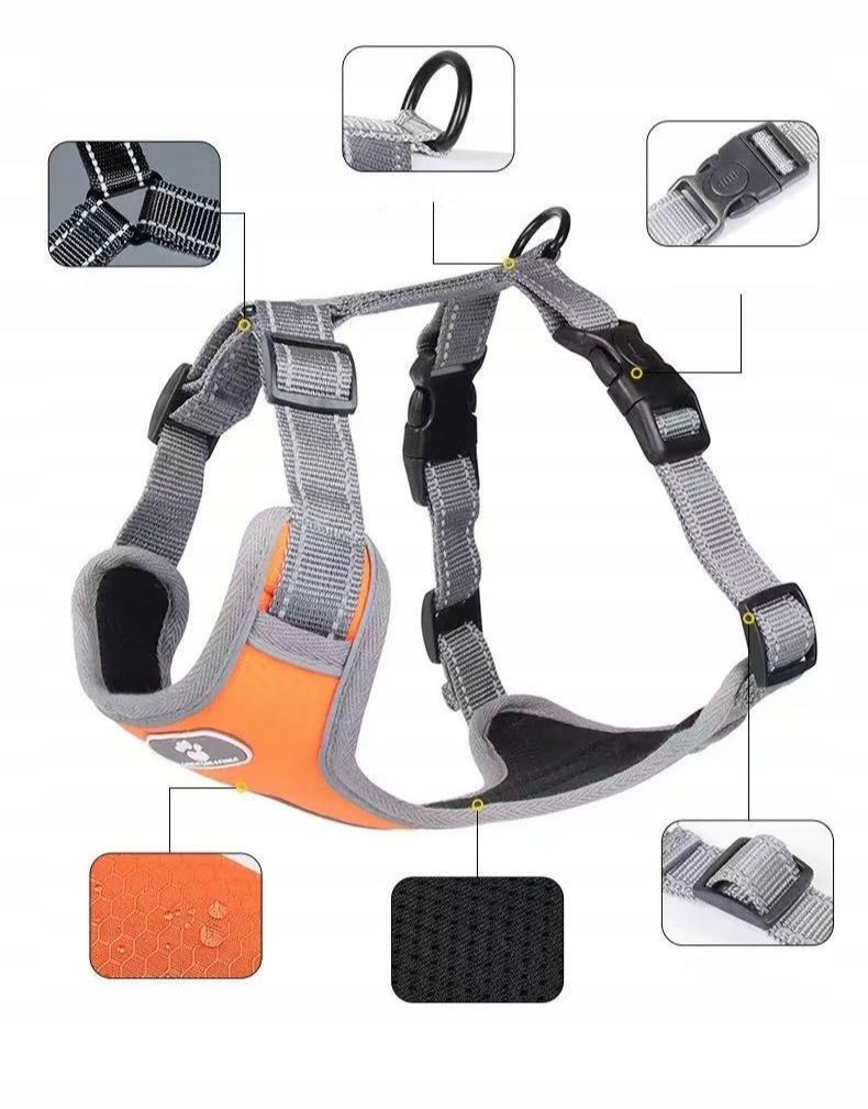 Dog Harness for Medium Giant Puppy Harness and Leash Set (Orange, M) Manufacturer code 769284864929