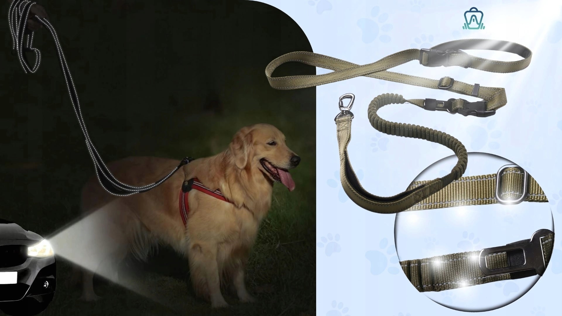 Dog Lanyard for Running with Shock Absorber Retractable Training Adjustable Maximum leash length 2.2 m