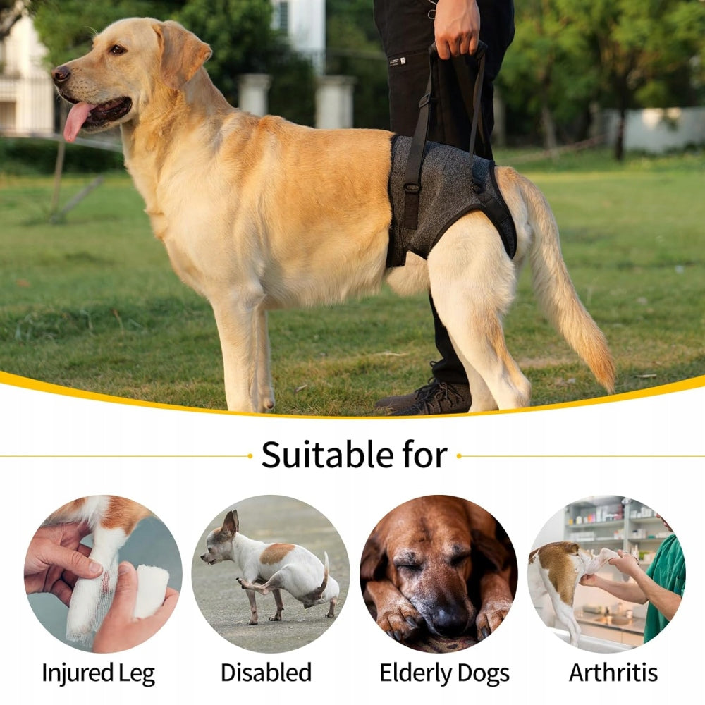 Dog Sling, Hind Leg Support Harness, for Elderly Injured Dogs, Grey, L Color gray