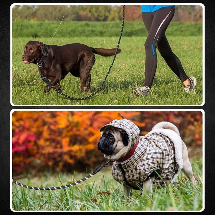 Dog Training Rope Lanyard Long 10m REFLECTIVE DURABLE STRONG Maximum leash length 10 m
