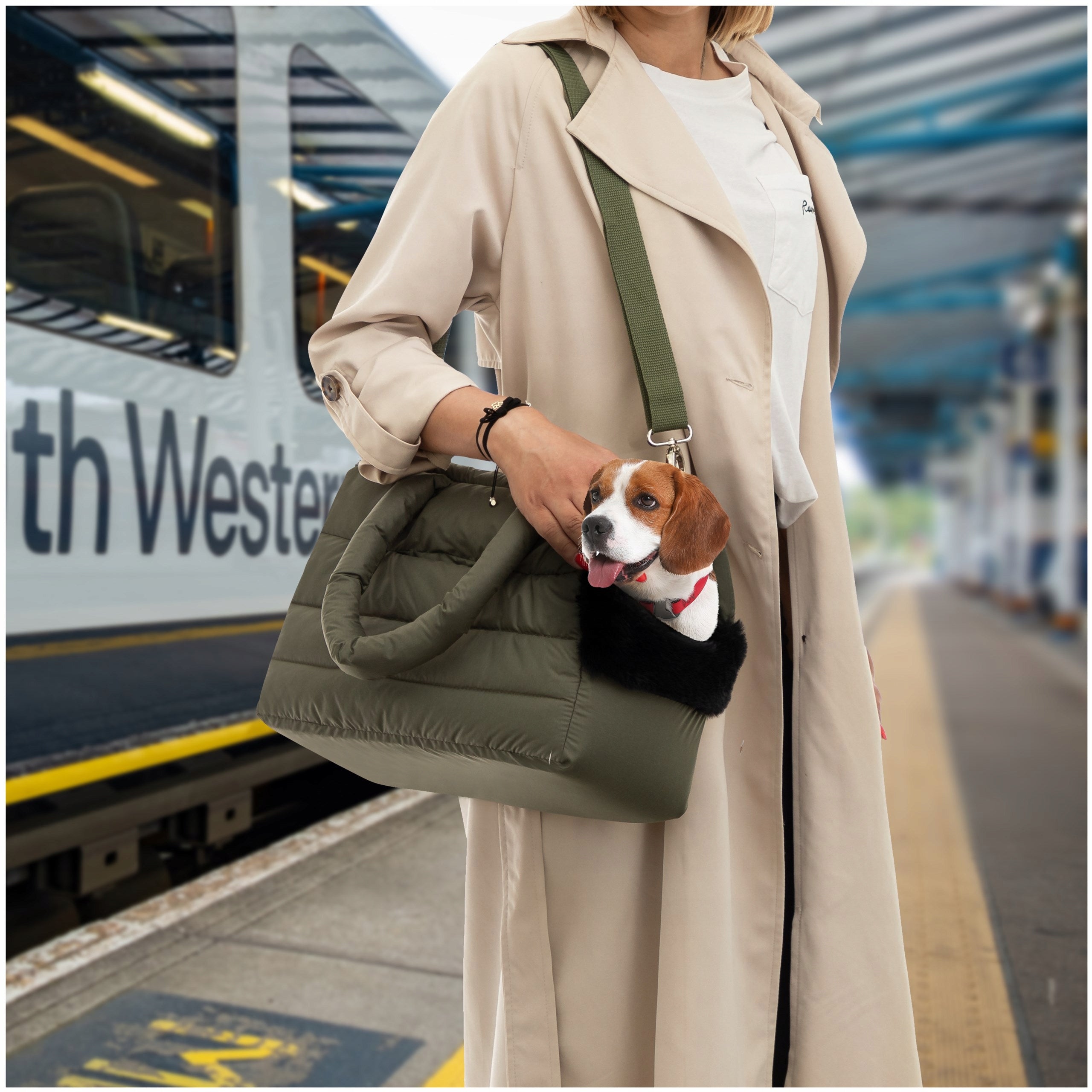 Dog Transporter Cat Bag Large Carrier Rabbit Carrier 40x20x30 Packaging status original
