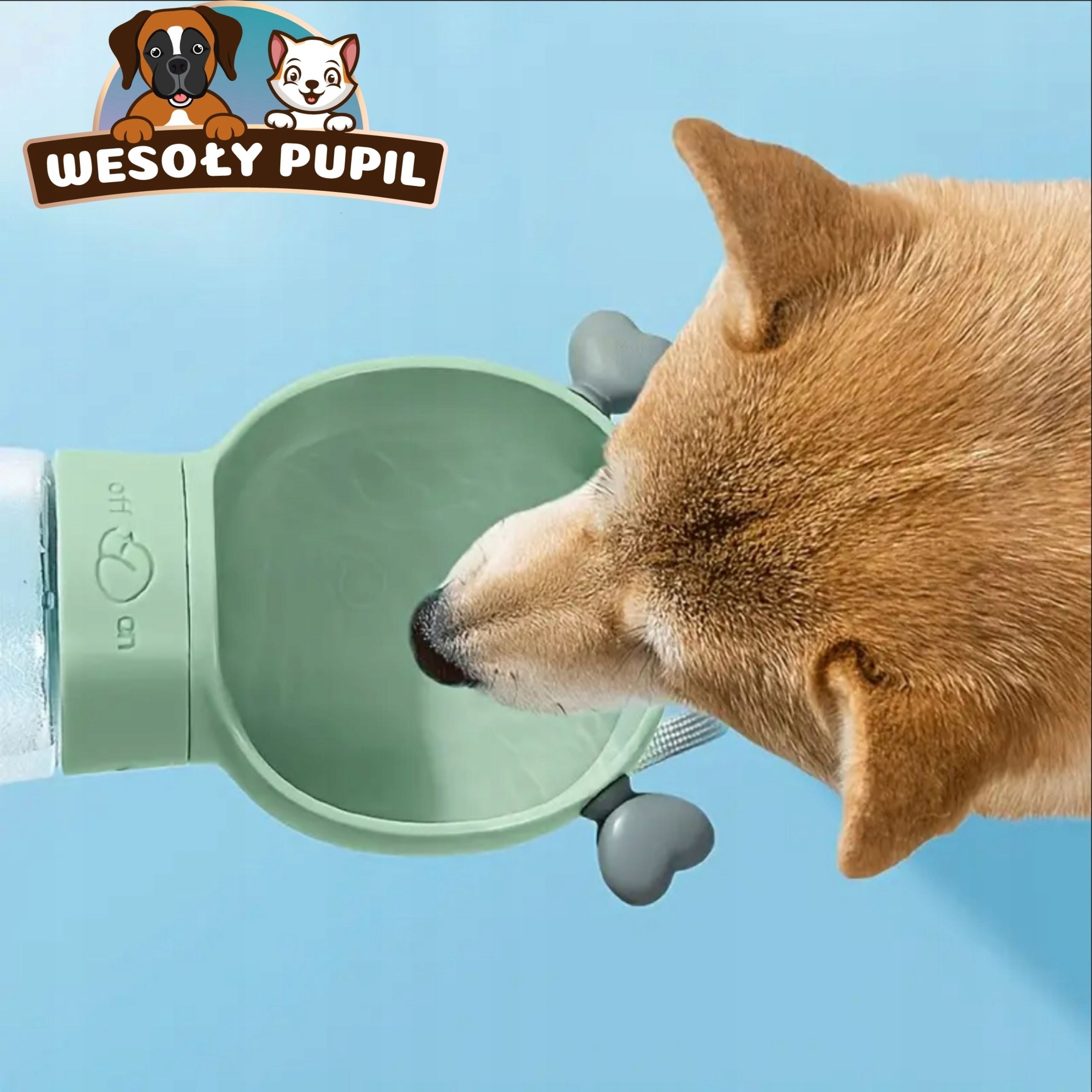 Dog Water and Food BOTTLE with Bowl 3in1 Tourist BOTTLE for Summer Material made from a synthetic material