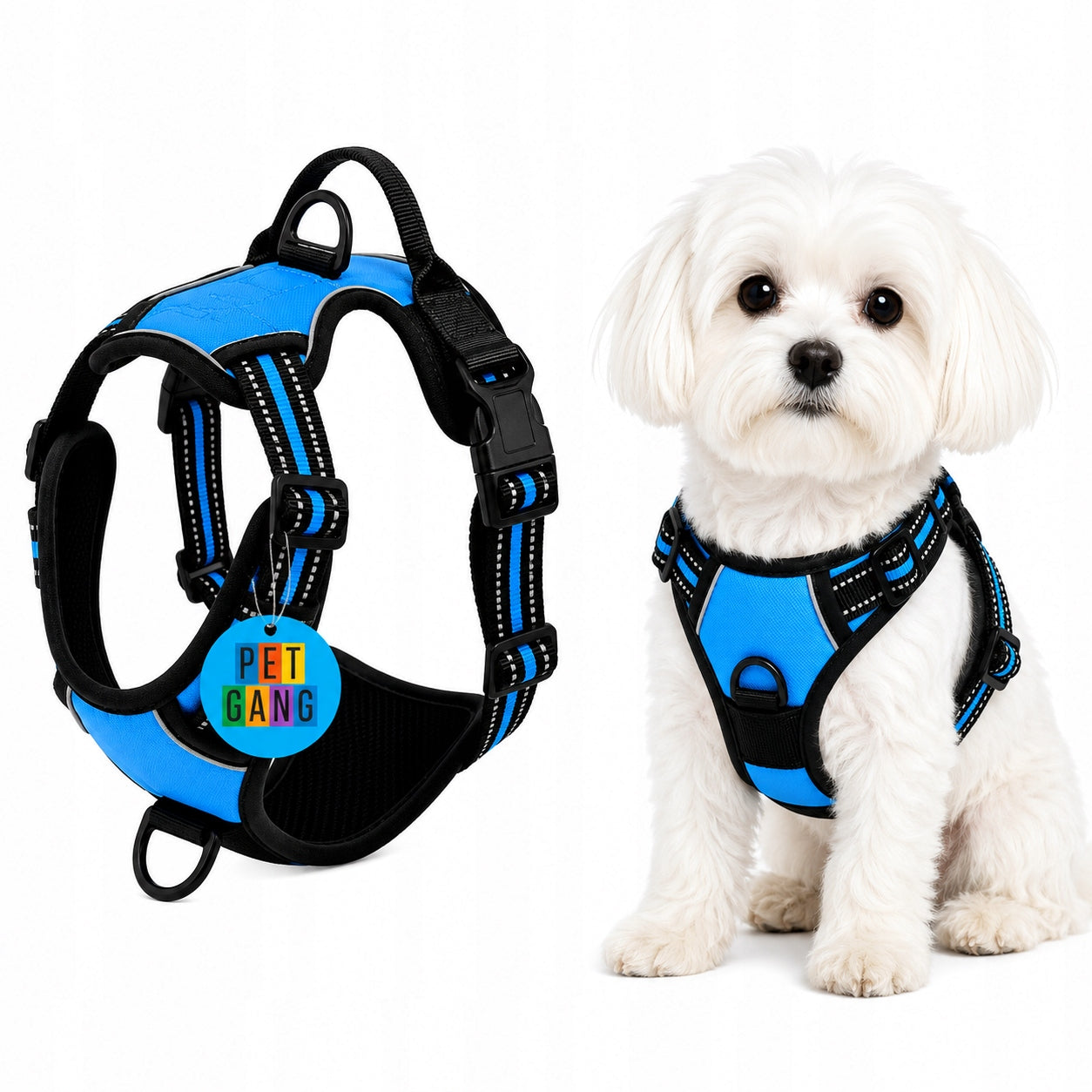 Dog and cat HARNESS PRESSURE-FREE blue GUARD S 33-60cm Maltese York