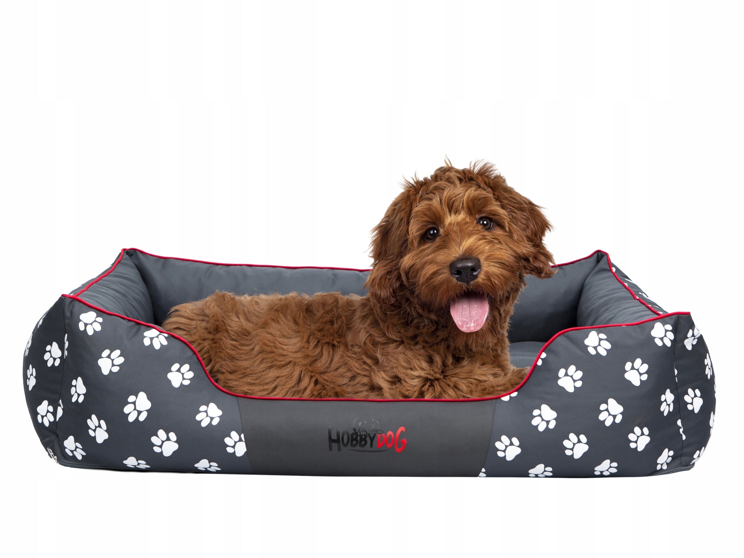 Dog bed Couch Hobbydog XXL 110x90 cm large comfortable bed