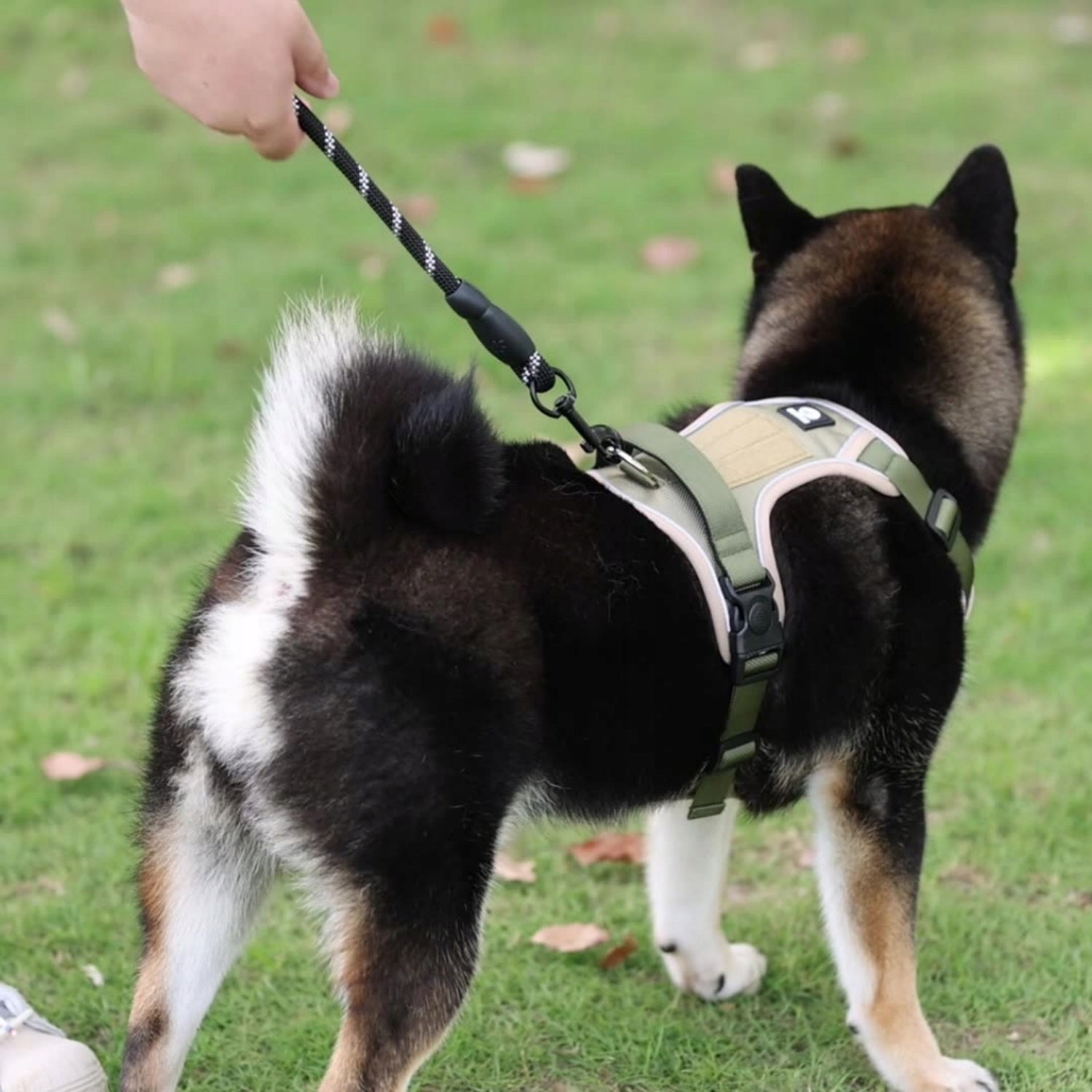 Dog harness+1.5M Dog Leash ,No Pull,Adjustable Reflective Oxford,SIZE:S Size S