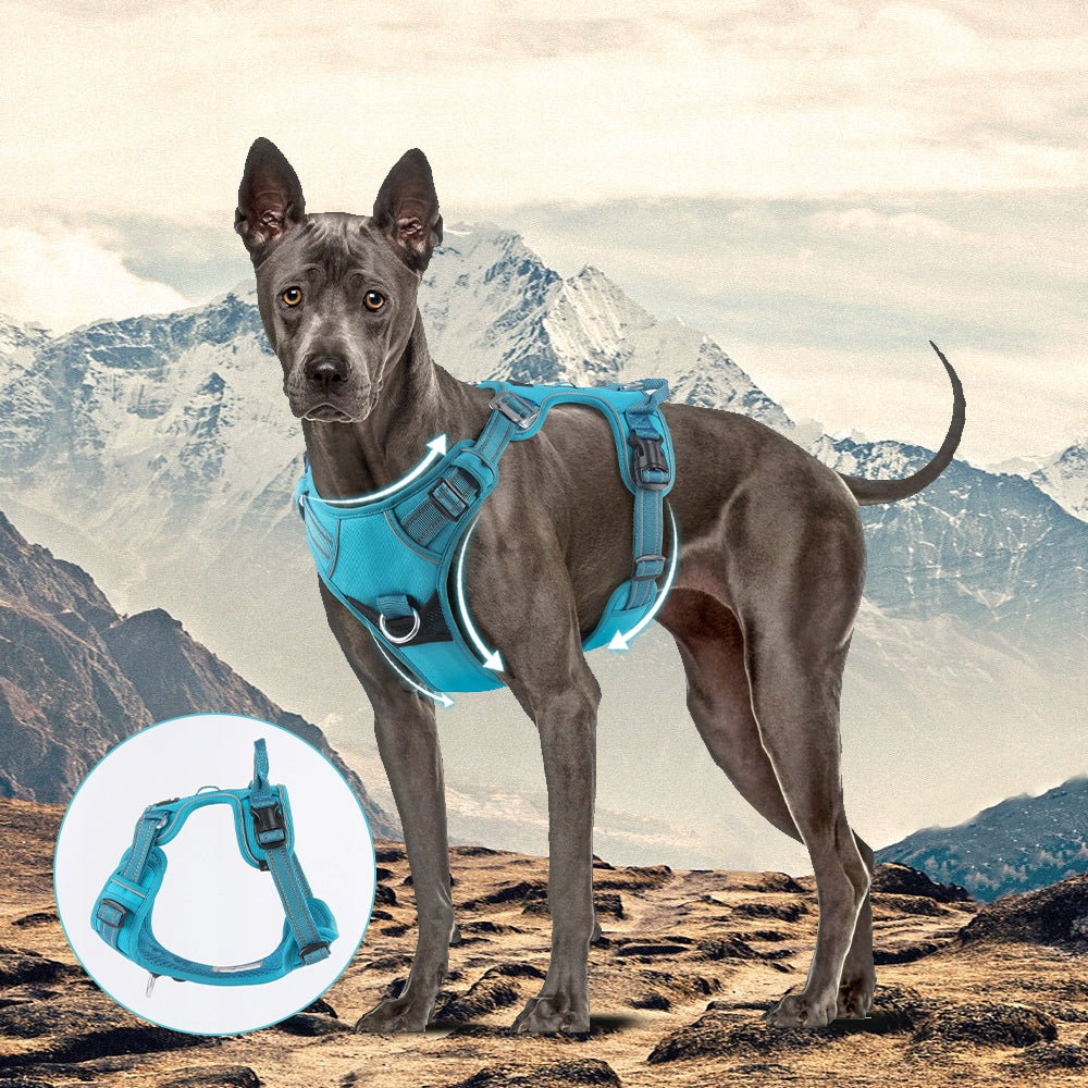 Dog harness MONTANA guard STRONG solid PREMIUM Lalazoo black XL Brand Lalazoo
