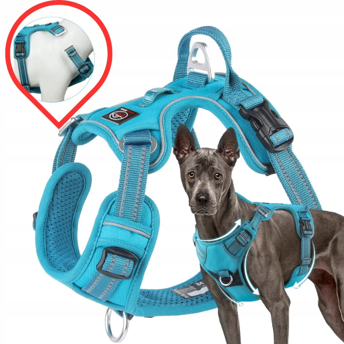 Dog harness MONTANA guard STRONG solid PREMIUM Lalazoo - turquoise M