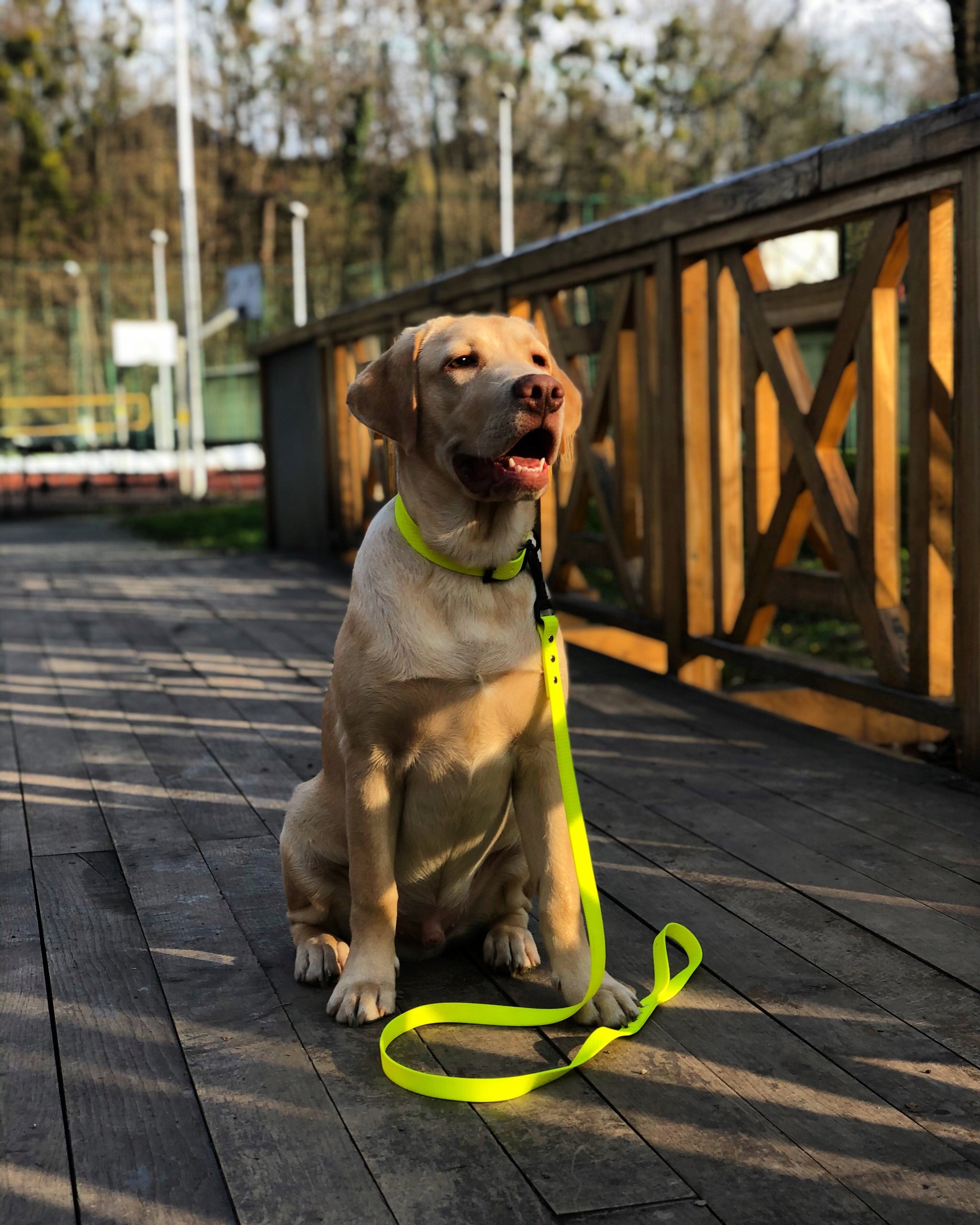 Dog leash BIOTHANE WATERPROOF 2M EAN (GTIN) 5904405010174