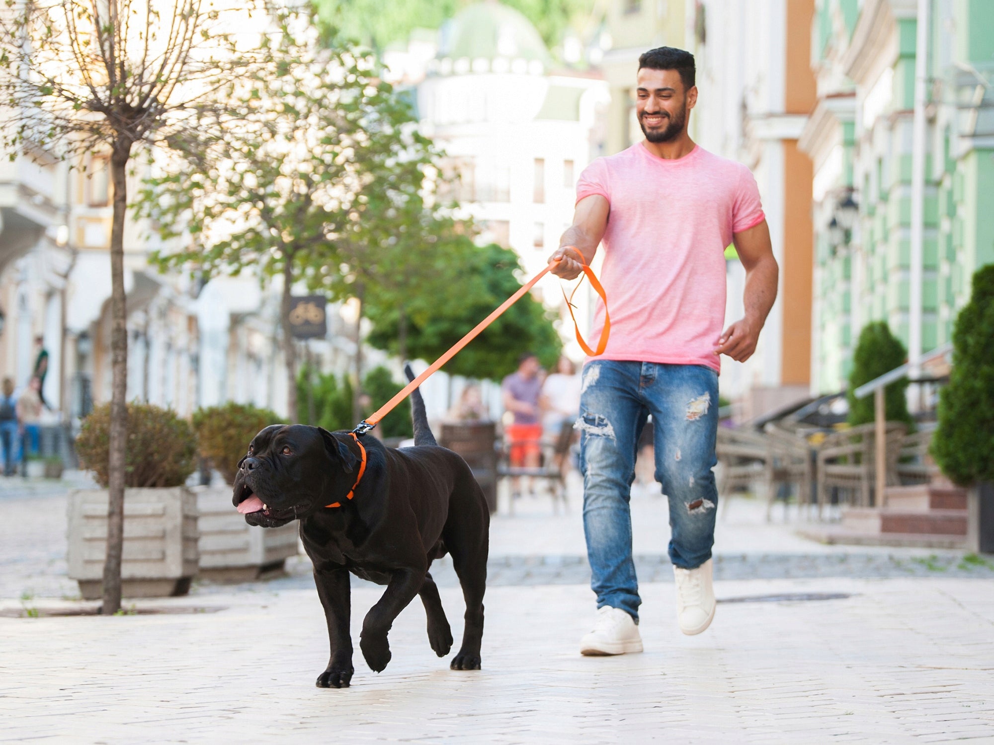 Dog leash EVOLUTOR Strongest waterproof 120 cm 25 mm orange Material fabric
