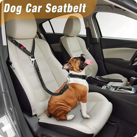 Dog leash seat belt for car orange color 1 pc Manufacturer code 5906852711802