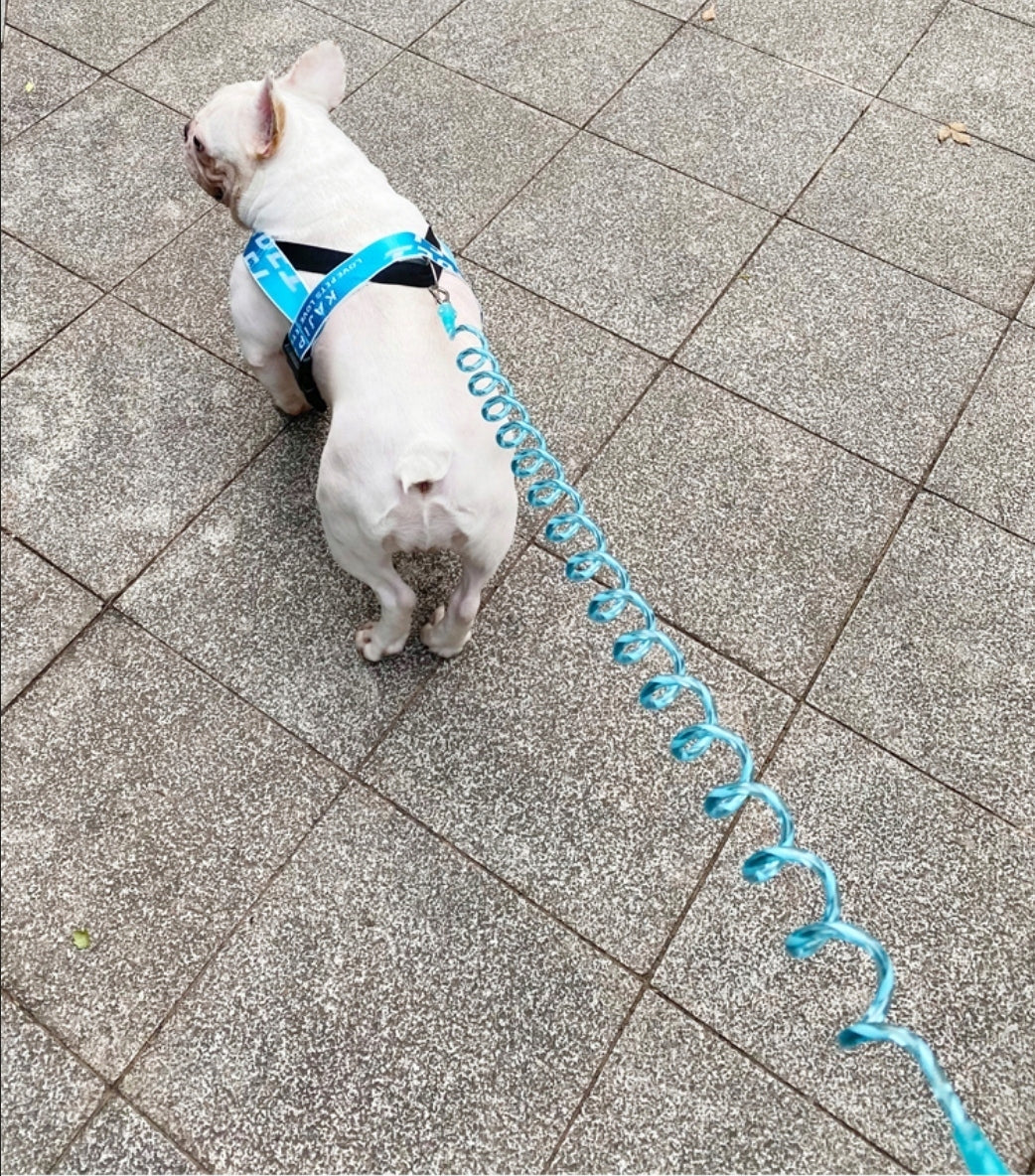 Dog leash stretch shock absorber spring Brand Wesoły Pupil