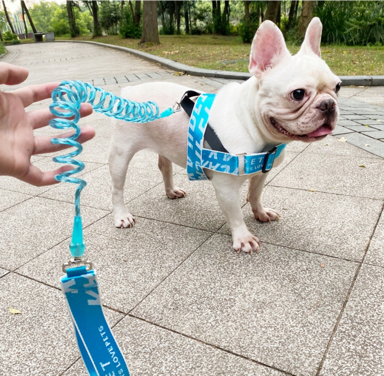 Dog leash stretch shock absorber spring Color blue
