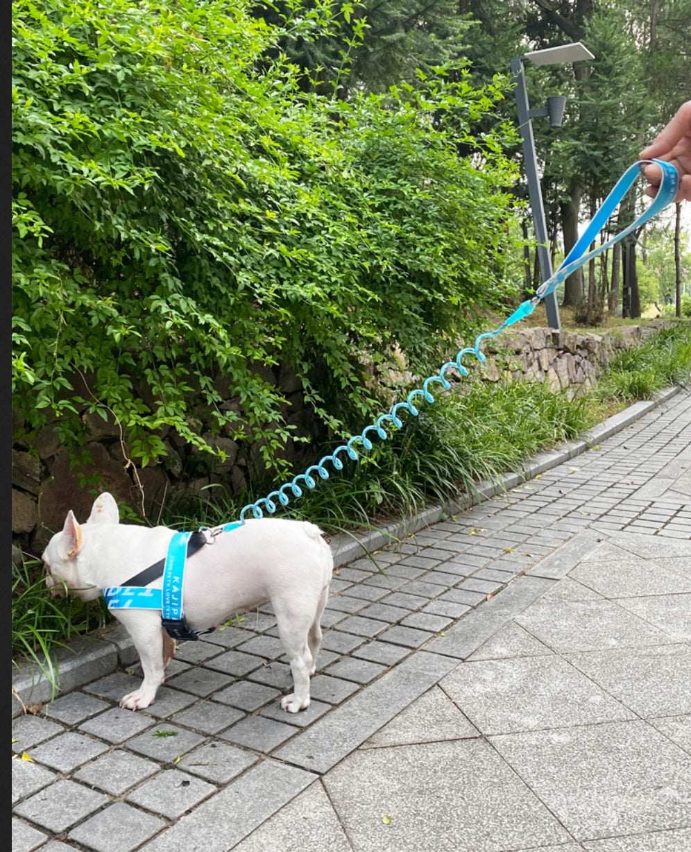 Dog leash stretch shock absorber spring Material other