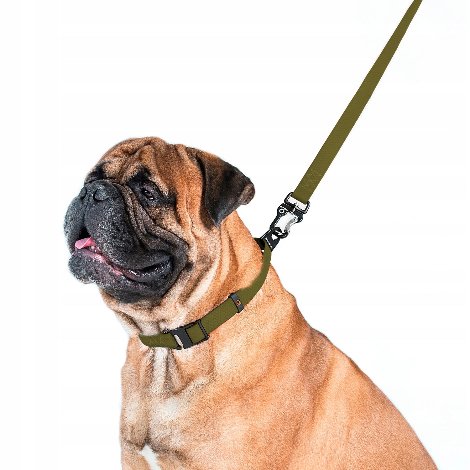 Dog leash waterproof, strongest, durable, khaki, 300 cm 25 mm Manufacturer code 4823089388946