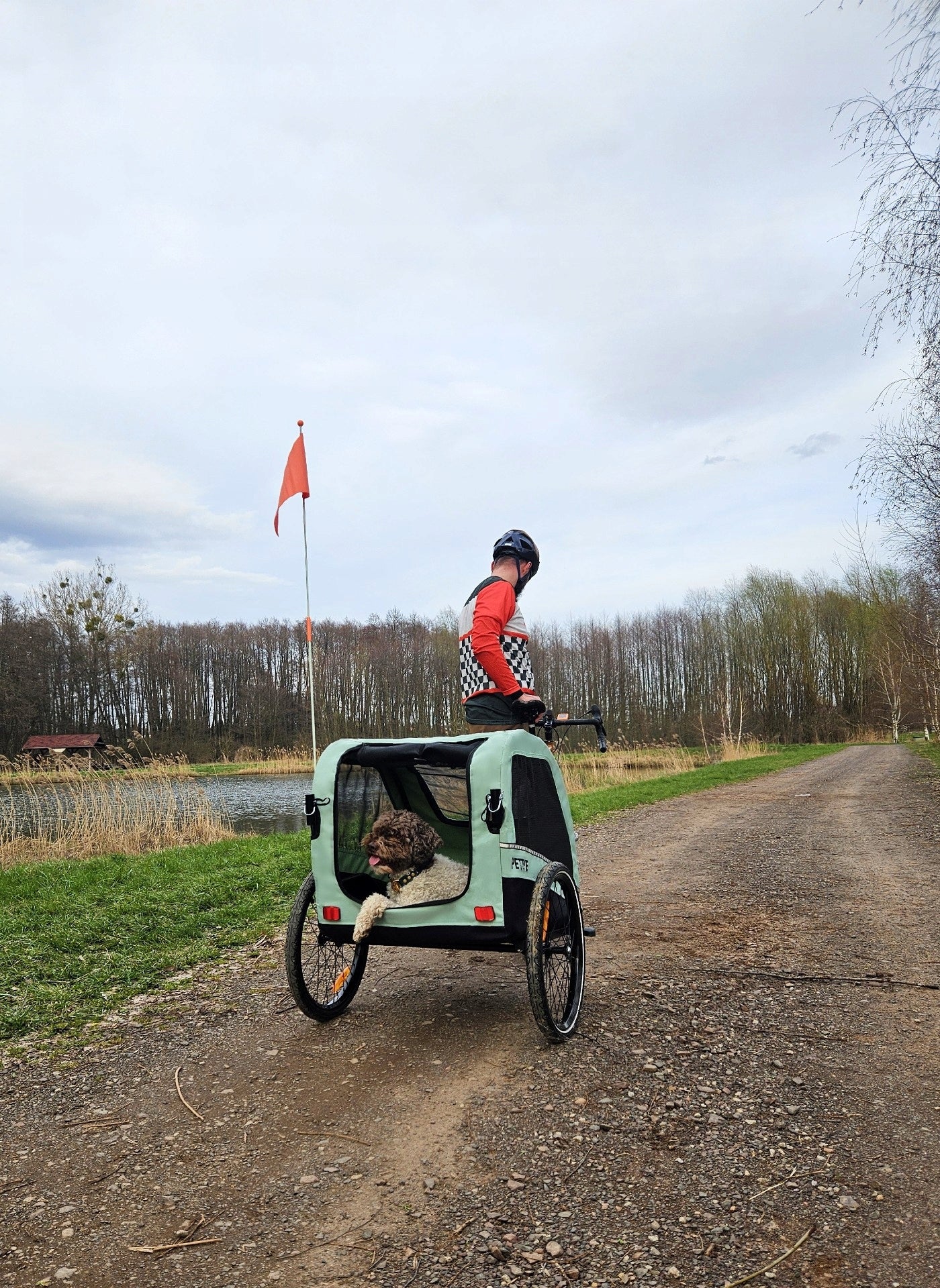 Dog trailer up to 40 kg, PETRIVE cat bicycle trailer EU standard Brand PETRIVE BE