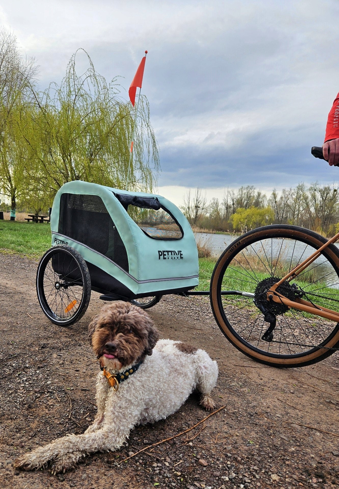 Dog trailer up to 40 kg, PETRIVE cat bicycle trailer EU standard Manufacturer code PTTRACTONGRE0001