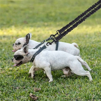 DogMaster Duo 2in1 SUPER STRONG, ANTI-TANGLE REFLECTIVE AND DETACHABLE! Maximum leash length 200 m