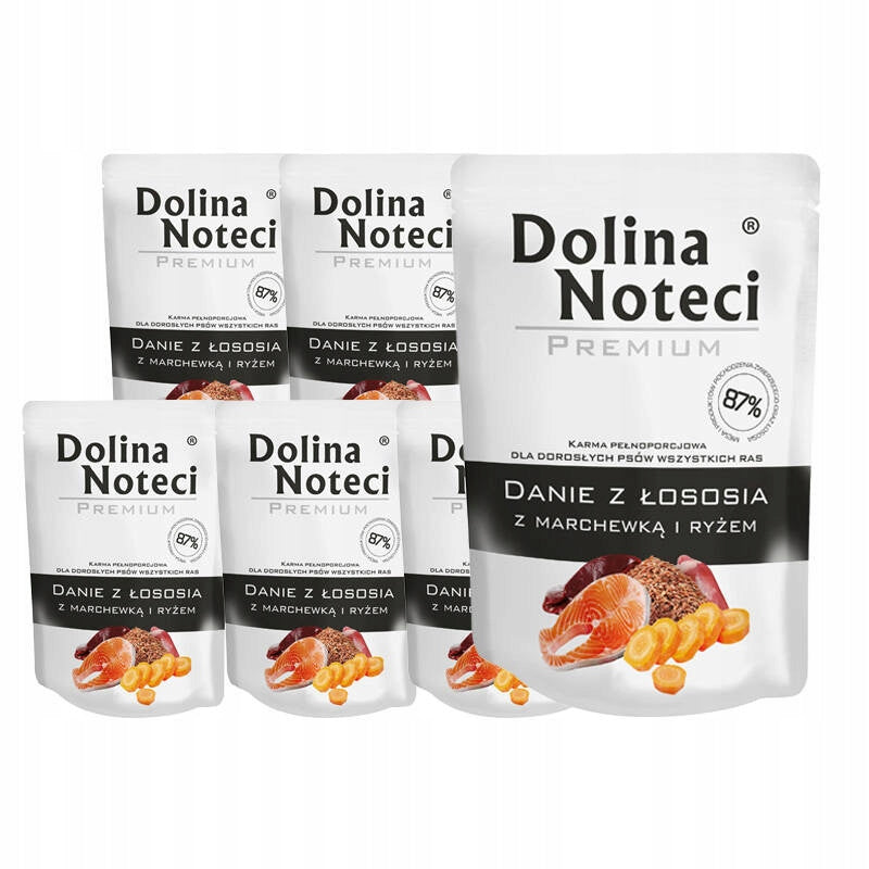 Dolina Noteci Premium Wet Dog Food Salmon Dish 10 x 300 g