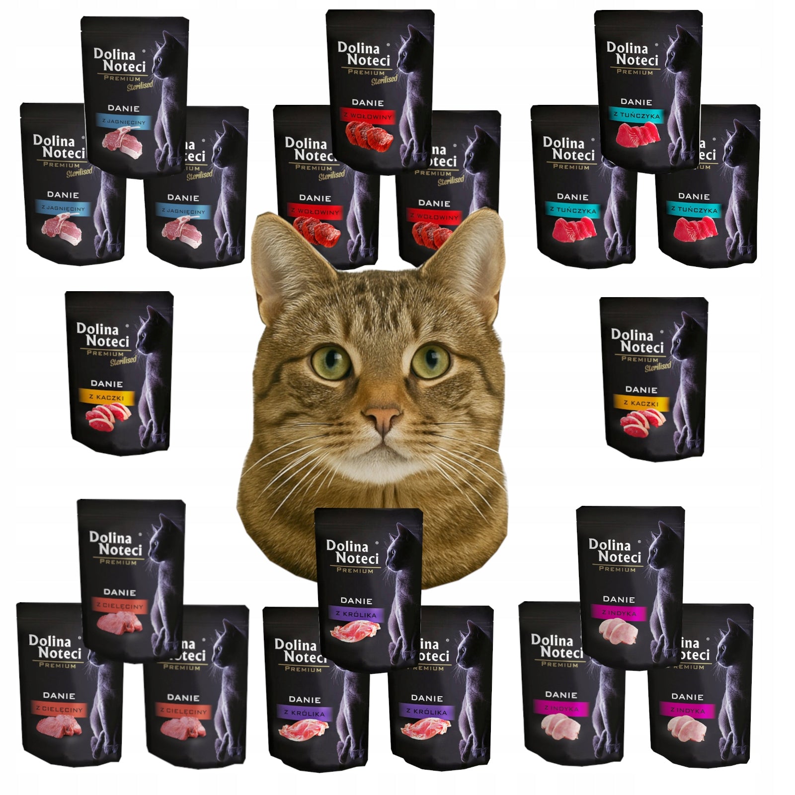 Dolina Noteci Premium dish wet cat food mix of flavors 20 x 85 g