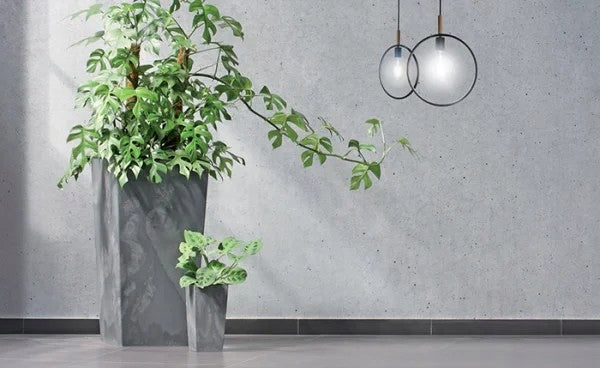 Vazonas Prosperplast Urbi Square Beton Effect DURS400E-422U, pilkas