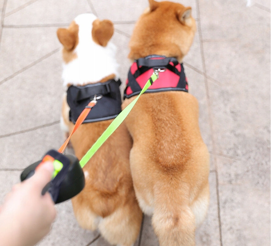Double LANYARD For Two Pów 3m Automatic Black Oh!dog Retractable Tape Brand no brand