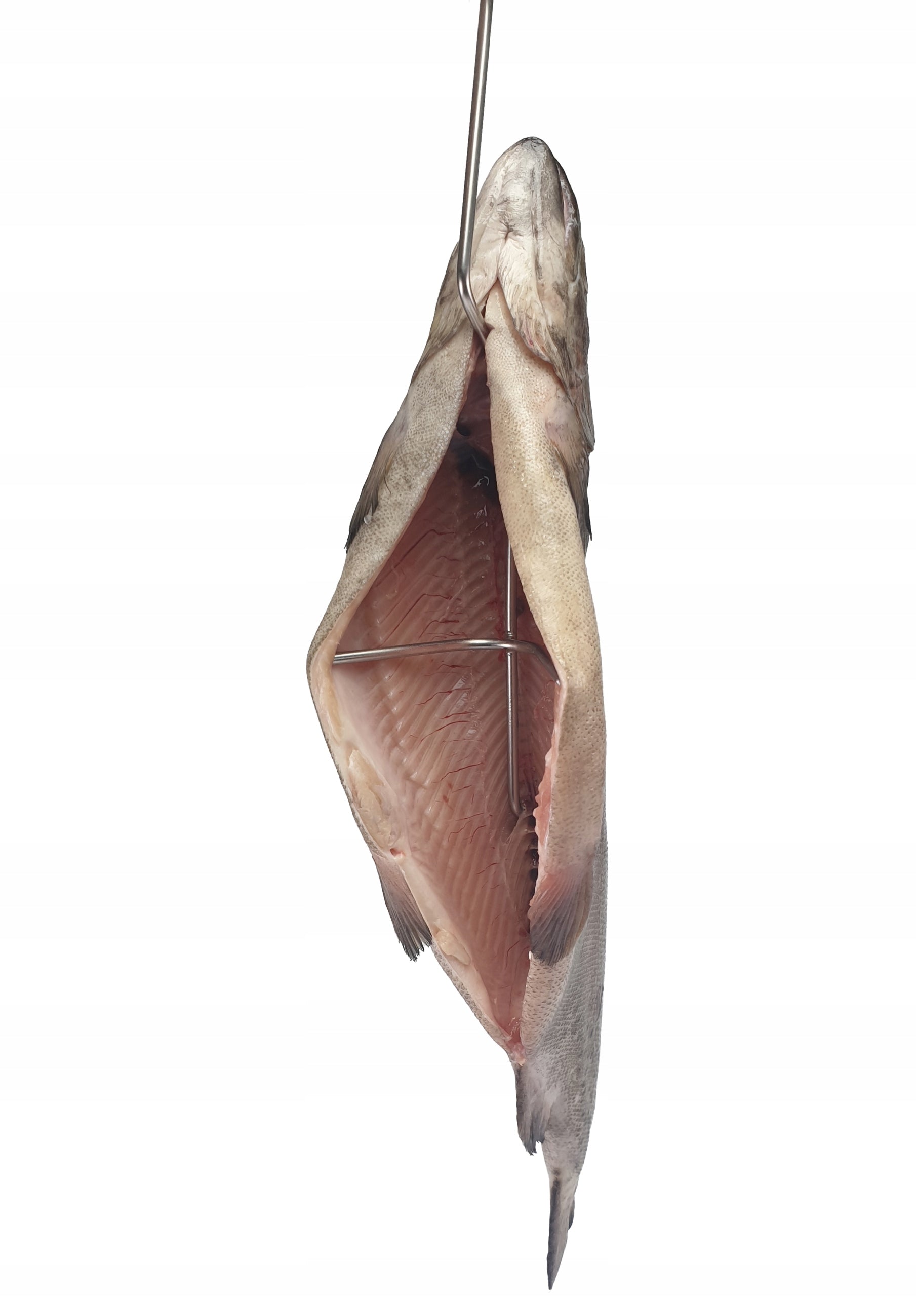 Double smoking hooks for smoking trout mackerel attest PZH Manufacturer J.A. Stallux