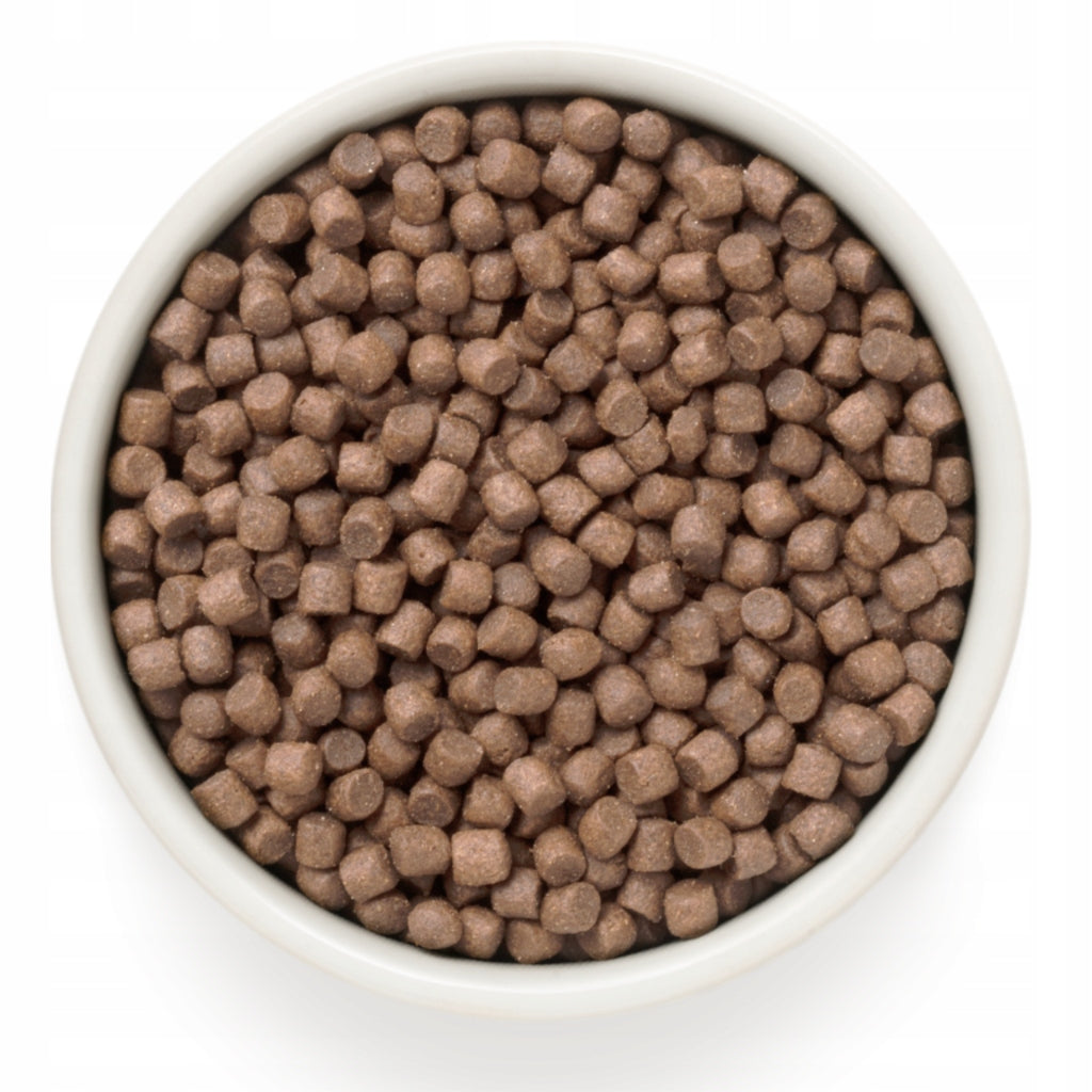 Dry Dog Food Grandorf White Fish Mini Small Breeds 1kg White Fish 2pcs Brand Grandorf
