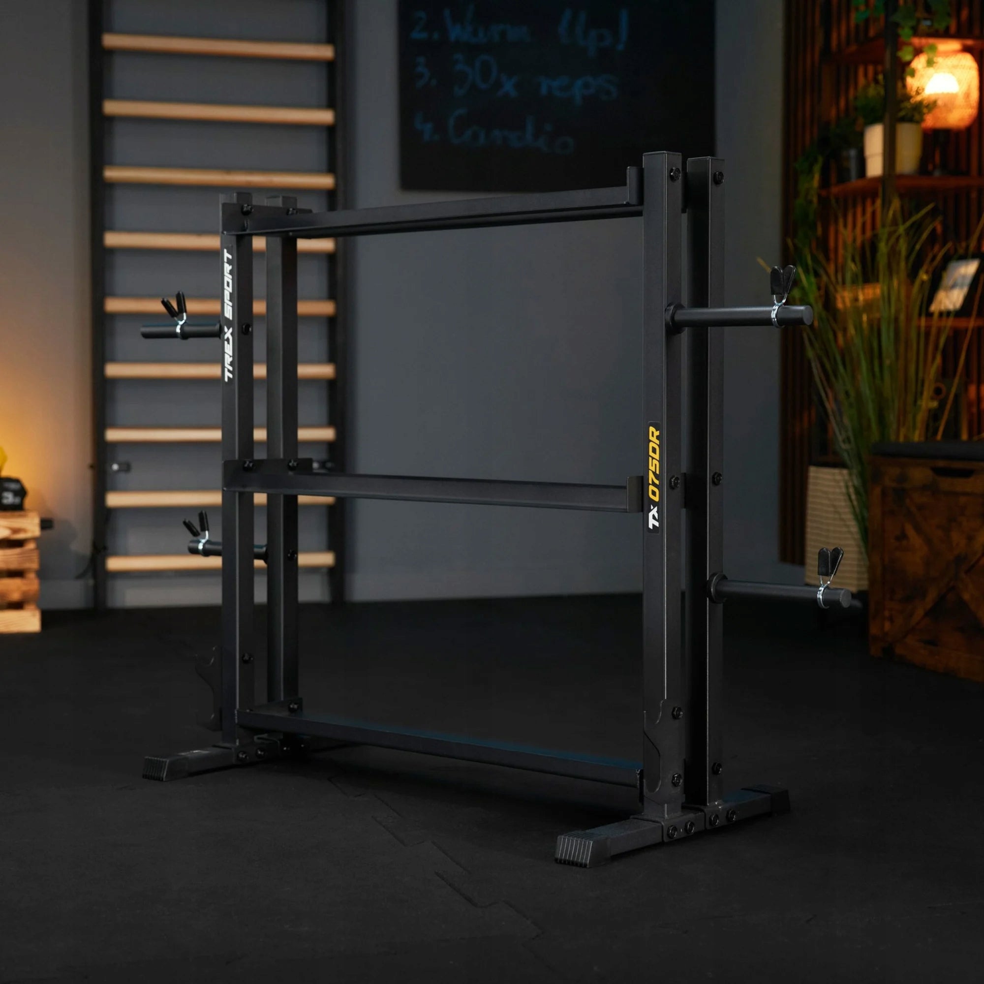 Dumbbell rack 3-level load-bearing neck strong up to 690 kg Trex Sport Type one piece