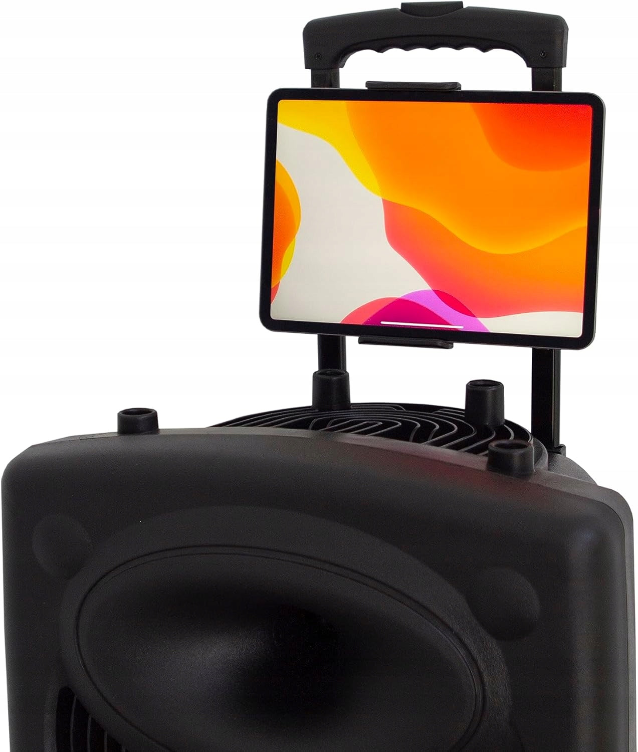 Dynasonic DYNAPRO-12 portable speaker 700W USB SD FM rechargeable microphone Model other