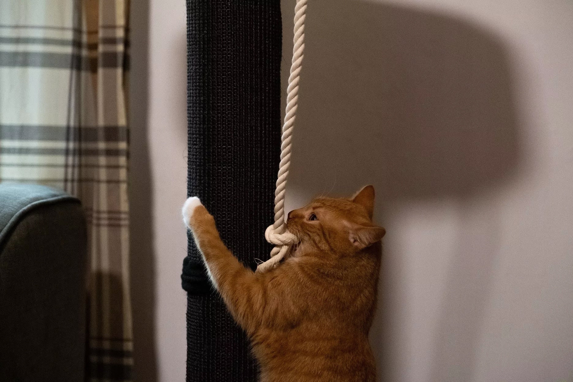 ECOMFY SCRATCHING POST TOWER 120CM BEIGE Height (cm) 101 - 160 cm