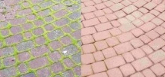 EFFECT 24h 1L COMBATS TOTALLY ALL WEEDS + MOSS ANTIMECH EKO 1000 Manufacturer Target