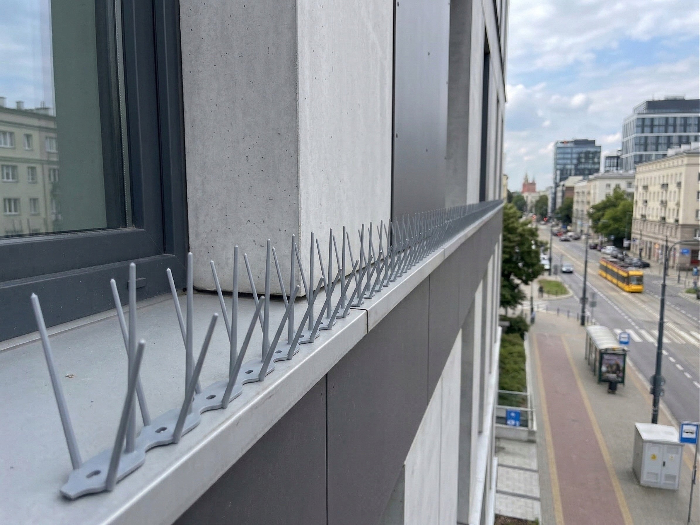 EFFECTIVE PLASTIC BIRD SPIKES PIGEONS 4 COLORS DURABLE AND SAFE Kind spikes