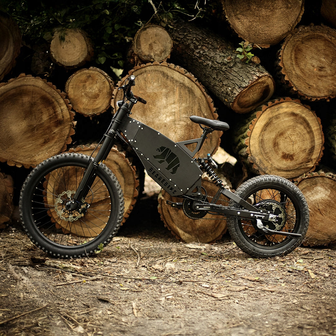 ELECTRIC BIKE MTB BearEbike Light 250W 1900Wh PAS 90NM Polish PRODUCT Foldability assembled, ready to ride