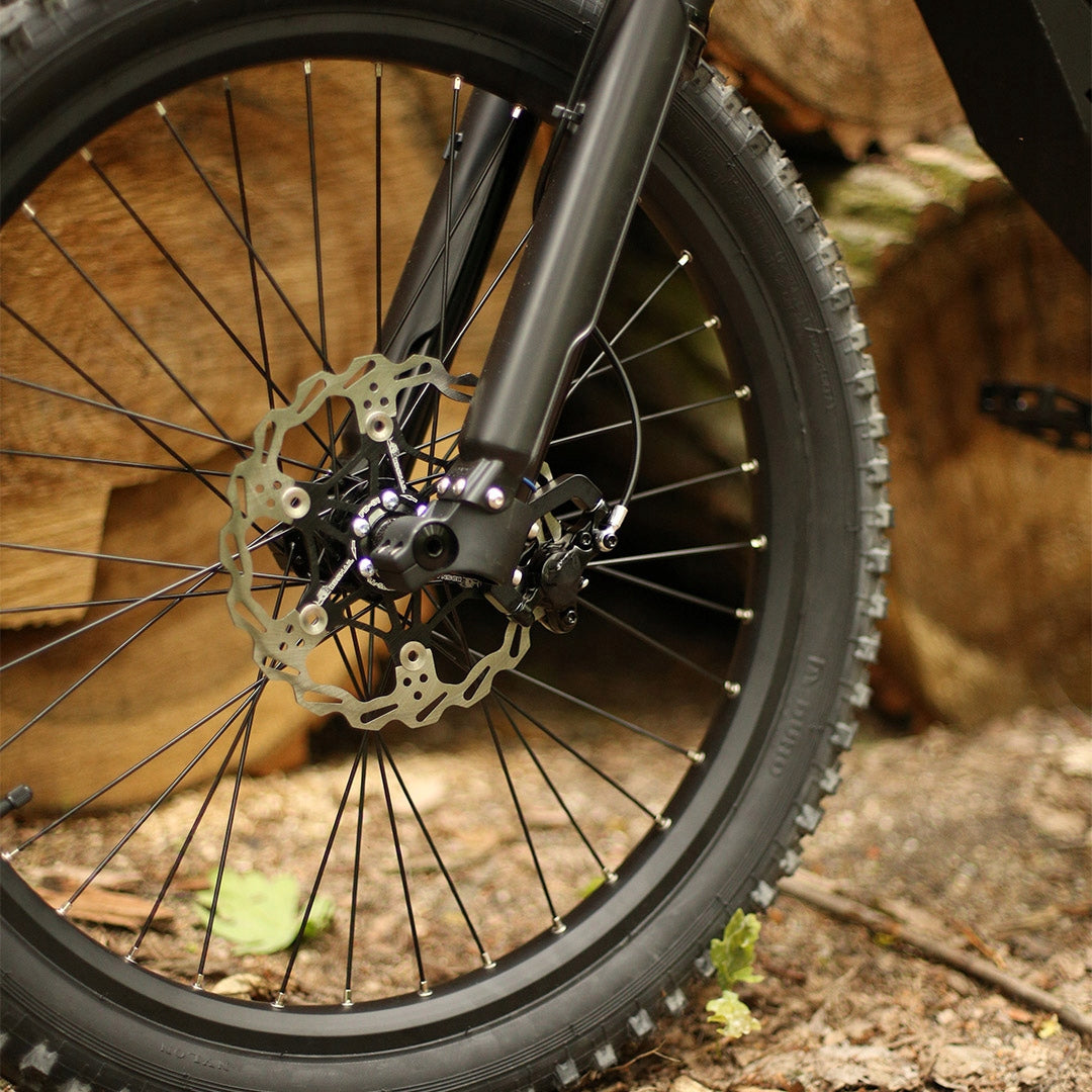 ELECTRIC BIKE MTB BearEbike Light 250W 1900Wh PAS 90NM Polish PRODUCT Maximum rated power electric bike (under 250W)