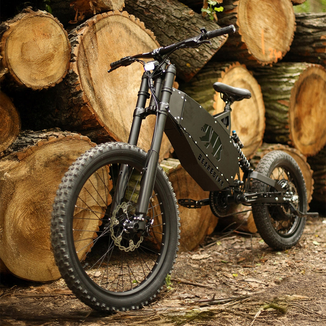 ELECTRIC BIKE MTB BearEbike Light 250W 1900Wh PAS 90NM Polish PRODUCT Packaging status original