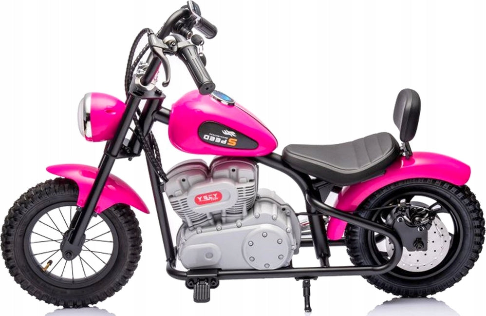 ELECTRIC MOTOR ON PUMPED WHEELS 36V POWER 350W KEY