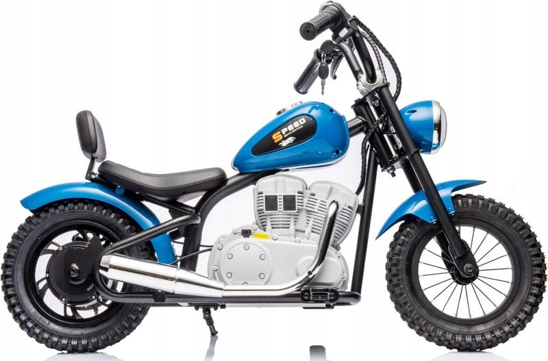 ELECTRIC MOTOR TWO-WHEELED PUMPED WHEELS 36V POWER 350W Brand no brand