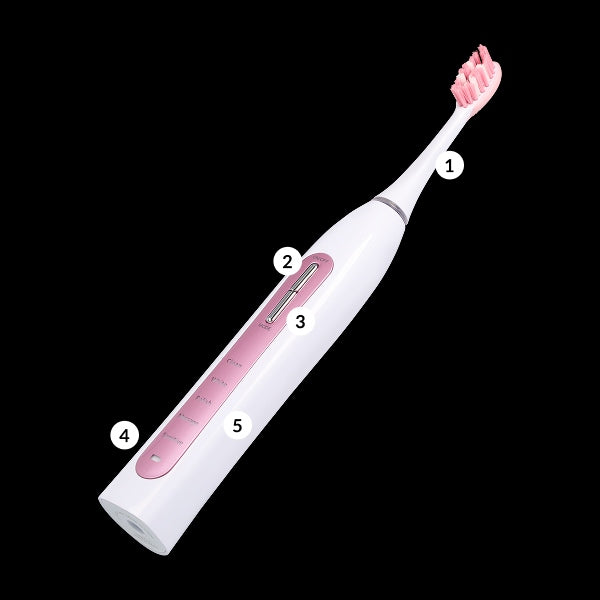 ELECTRIC SONIC TOOTHBRUSH VITAMMY AURUM ROSE Manufacturer code VITAMMY TB9051K