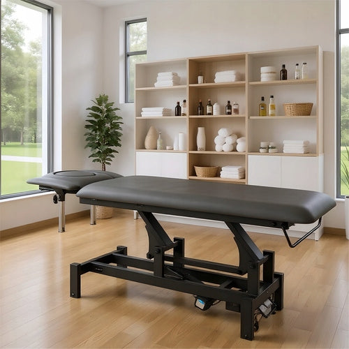 ELECTRIC STATIONARY REHABILITATION TABLE FORTIS 4 ERGO PILOT HABYS EAN (GTIN) 5904730783668