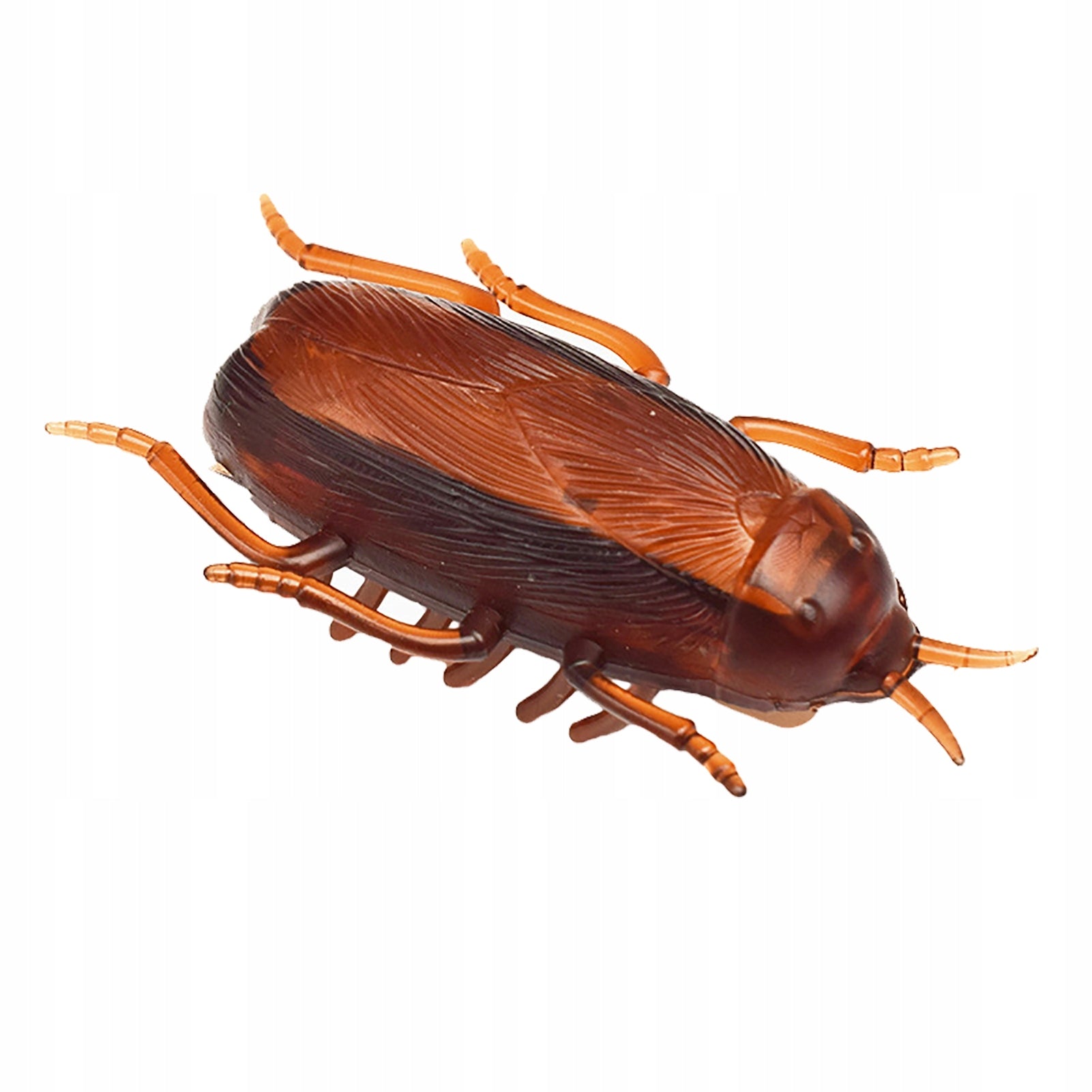 ELECTRONIC COCKROACH REMOTE CONTROLLED REMOTE CONTROL INTERACTIVE TOY