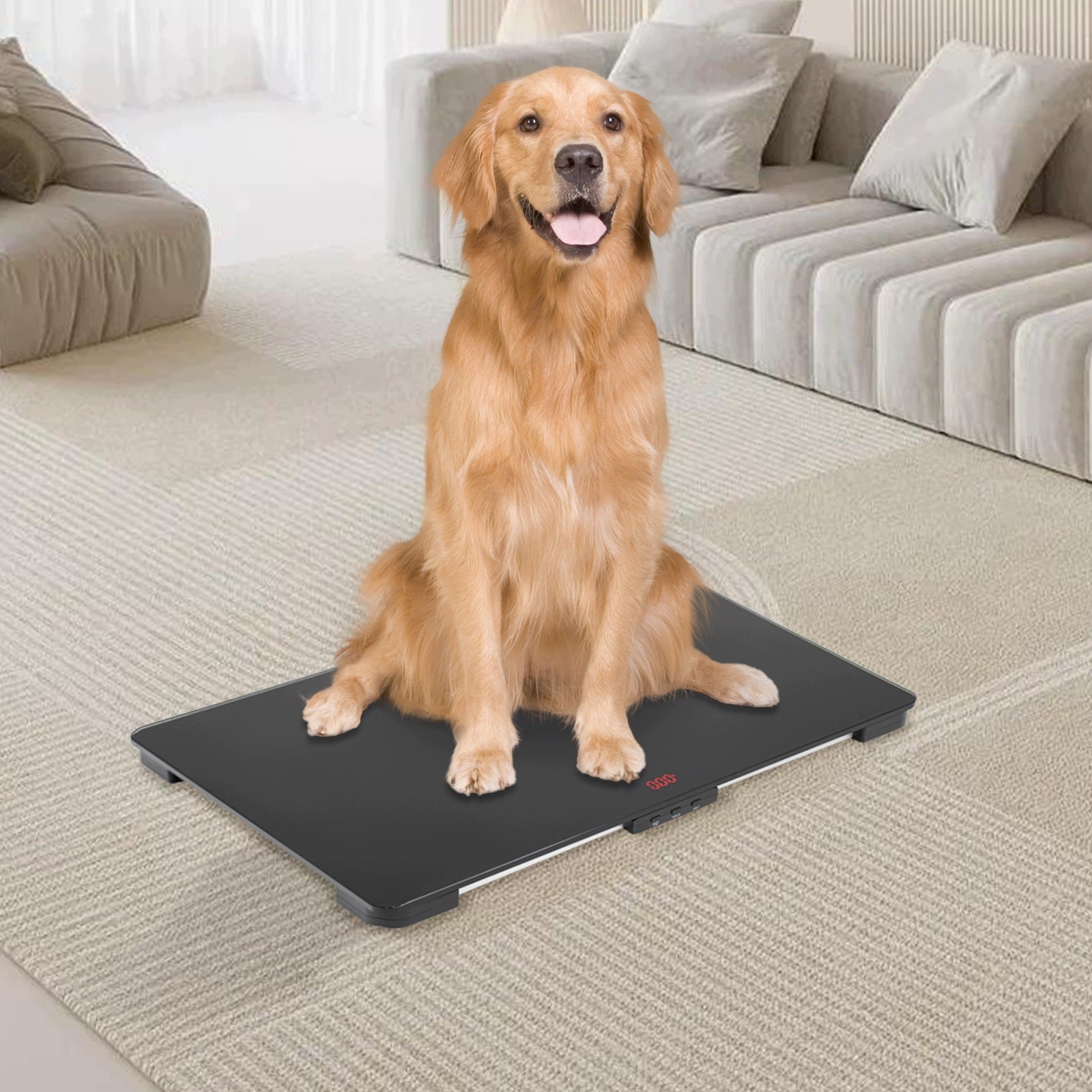 ELECTRONIC SCALE FOR ANIMALS UP TO 100 KG, TEMPERED GLASS, 65×45 CM Manufacturer code 6772349