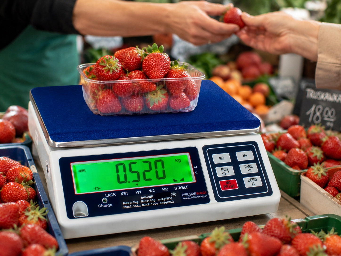 ELECTRONIC SHOP SCALE WITH LEGALIZATION 15KG LARGE WAREHOUSE DISPLAY Manufacturer code BW-LWN 15kg