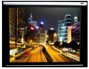 ELITE SCREENS Electric100V