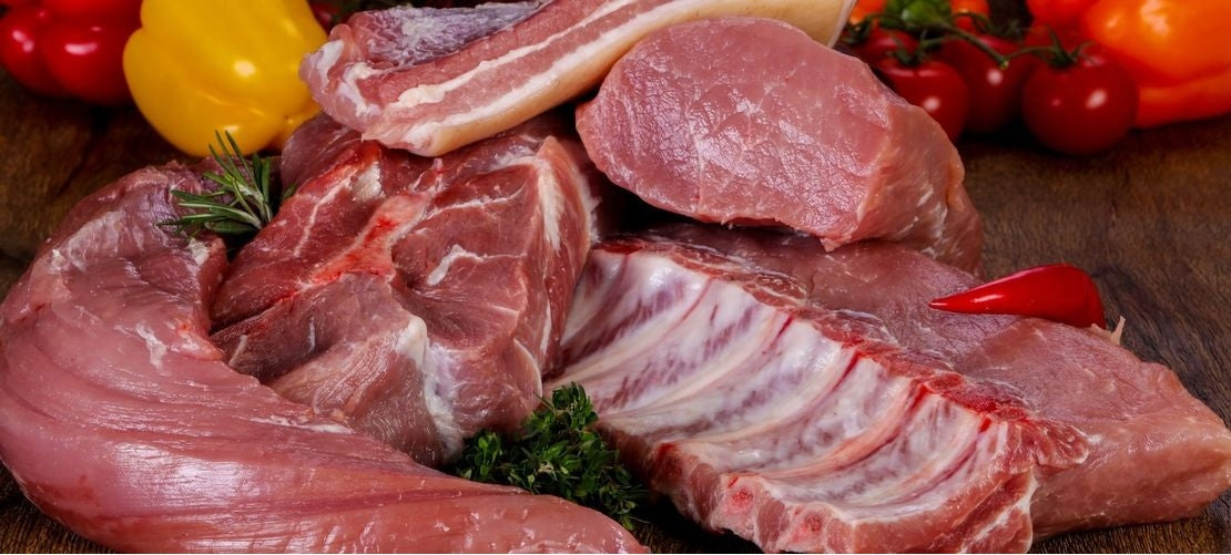 EUPHORIA FRESH MEAT Dog Food Mini Small PORK with GOOSE XS/S 8kg Manufacturer code 6111171785