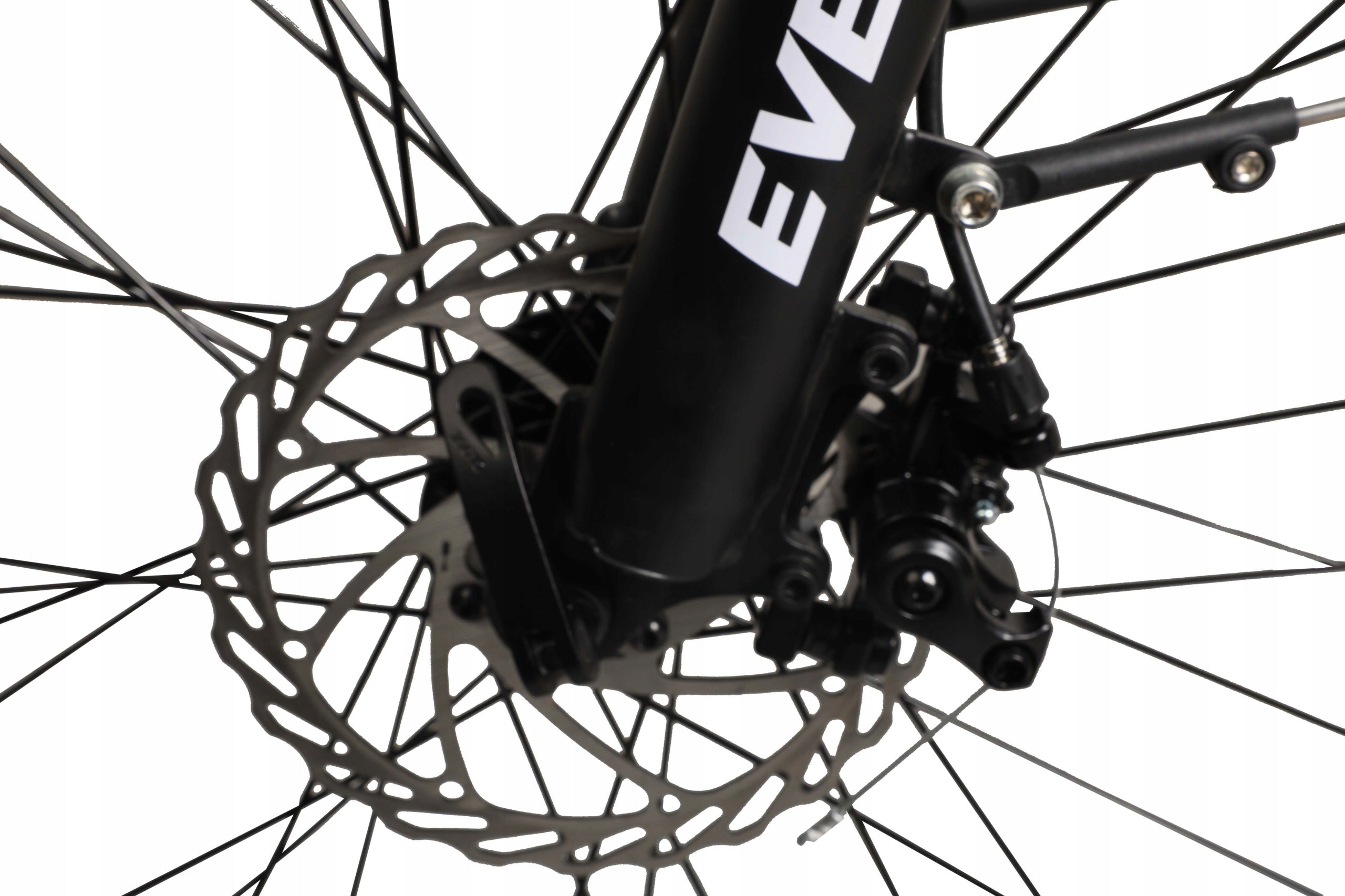 EVERMORE City electric bike 28'' 250W POLISH MANUFACTURER PURPLE Model E250W