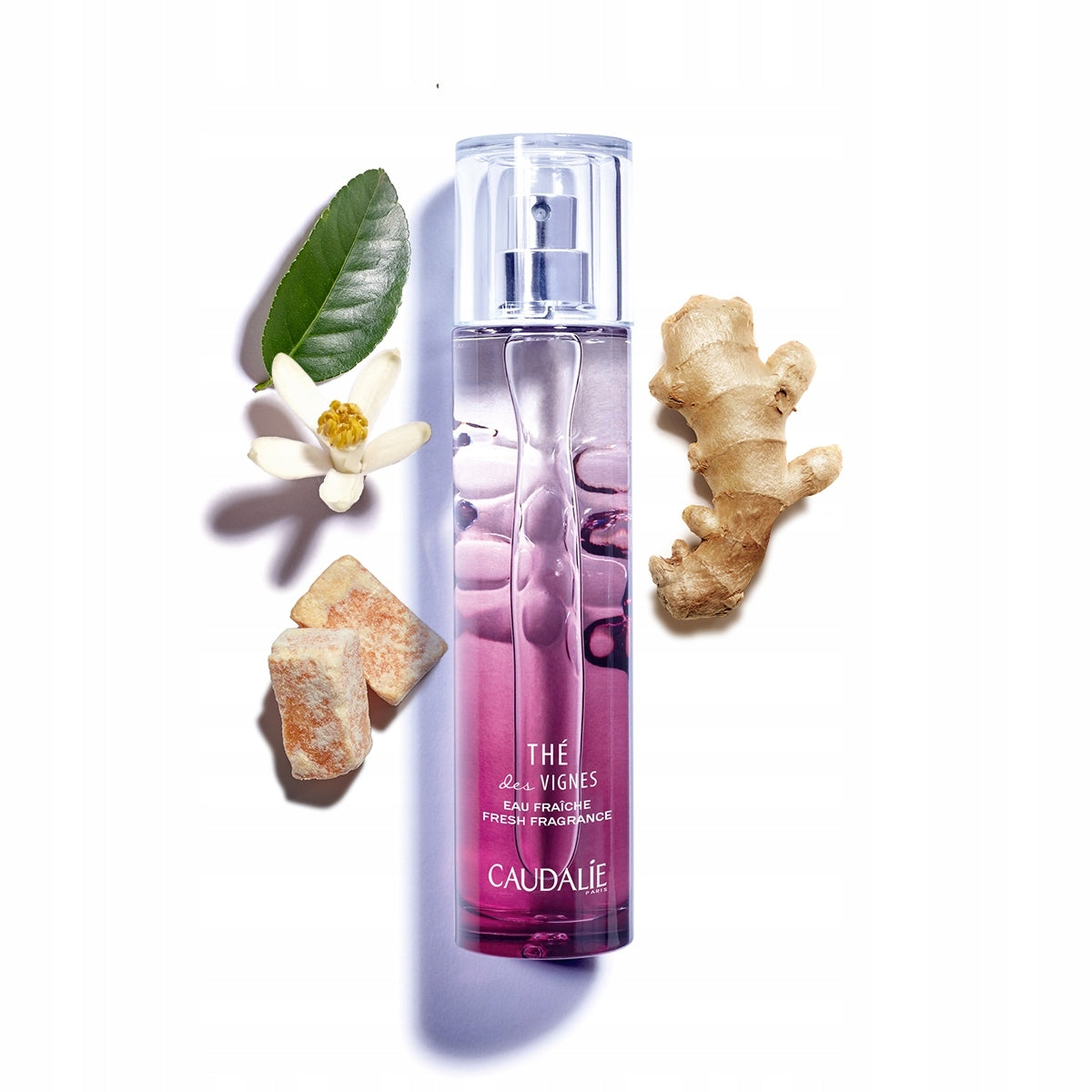 Eau de toilette Caudalie 100 ml THE Les Vignes EAN (GTIN) 3522930001737
