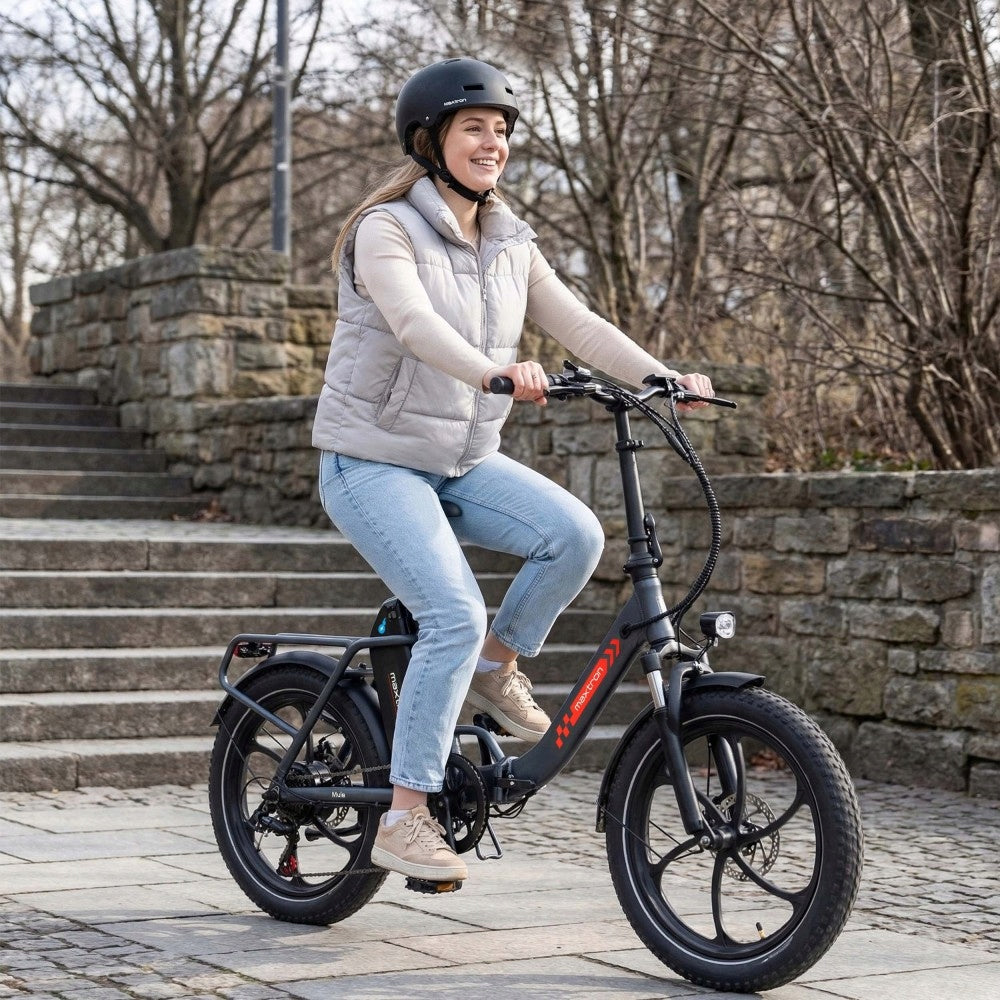 Electric Bike Folding 20"*3.0 250W 25KM/H 48V 20AH 120KM City Commuting Brand no brand