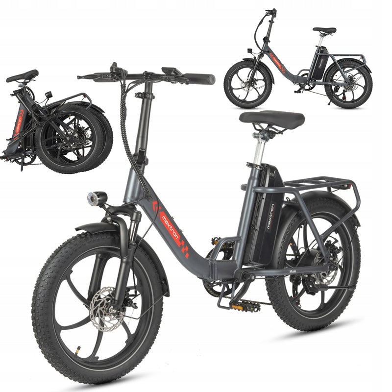 Electric Bike Folding 20"*3.0 250W 25KM/H 48V 20AH 120KM City Commuting