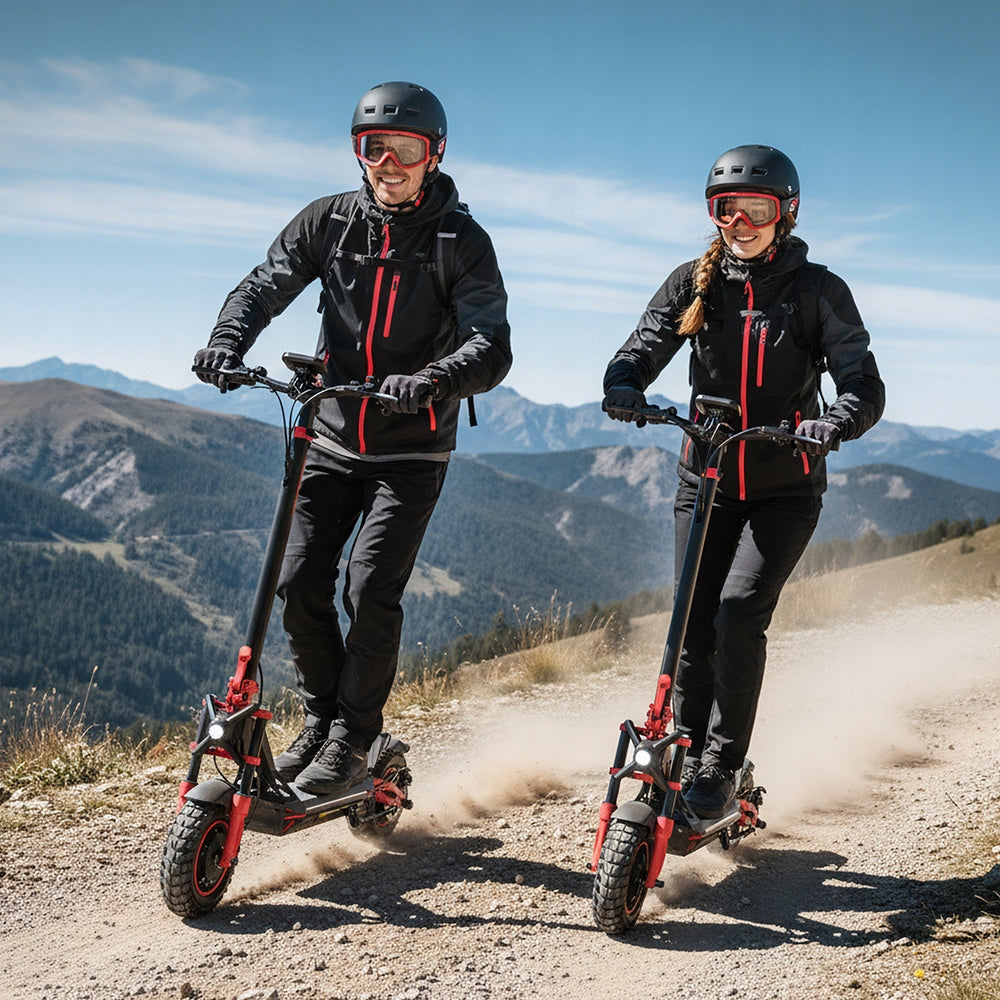 Electric Scooter For Adults Off-road TWOFISH 1640W*2 60V/23Ah 90HP Engine power 3280 W