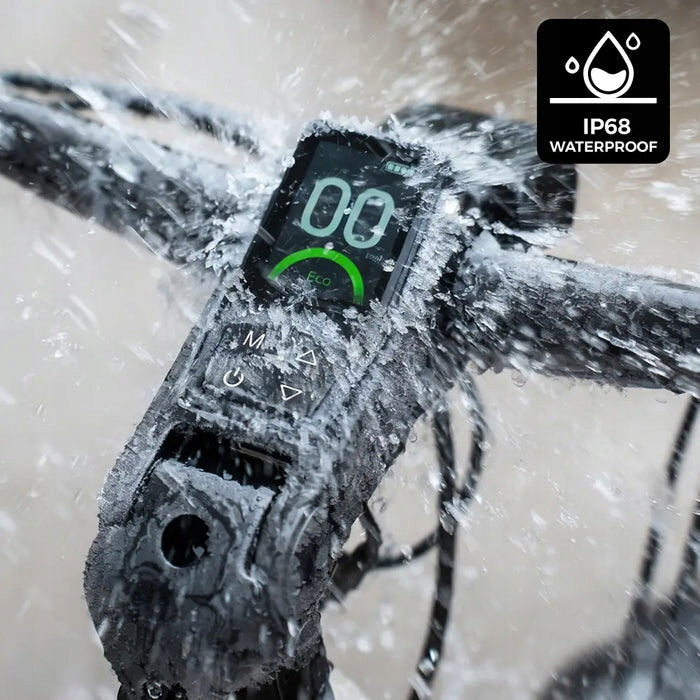 Electric Trekking Bike FIIDO NOMADS 250W L Model Nomads